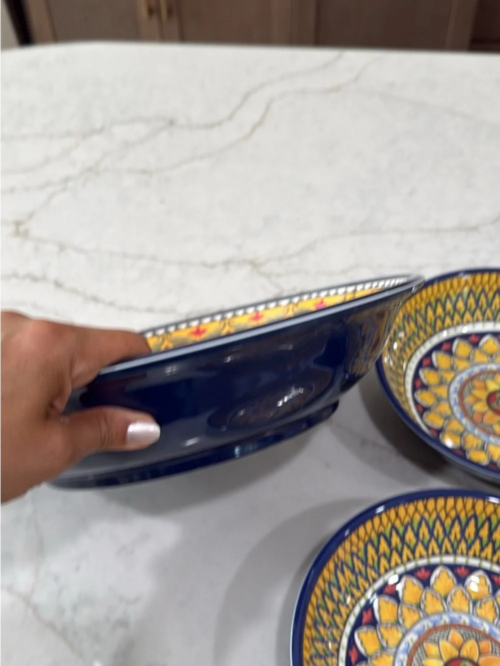 Williams-Sonoma  Sicily Outdoor Melamine Pasta Bowls